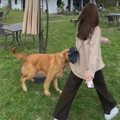 悲剧的诞生